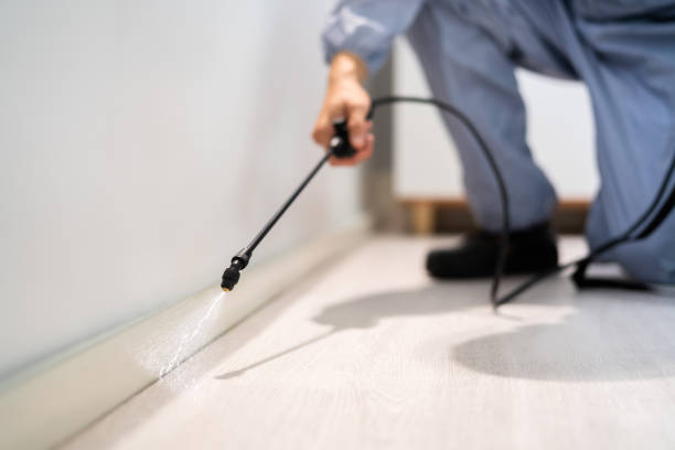 Licensed Pest Control service in Salem, VA - Show Me Pest Control
