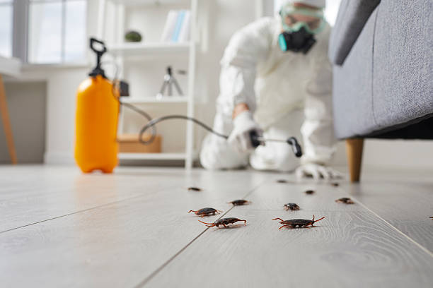 Commercial Kitchen Cockroach Control in Salem